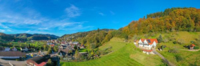 Ferienwohnung im Herzen des Renchtals
